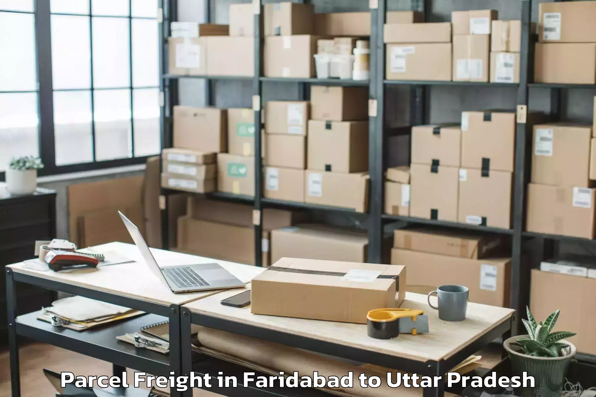 Discover Faridabad to Etawah Parcel Freight